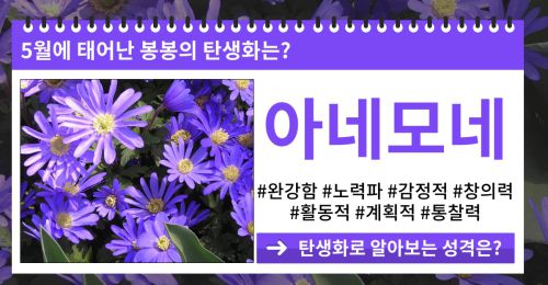 당신의 탄생화로 알아보는 성격은?